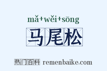 马尾松是什么意思的图片